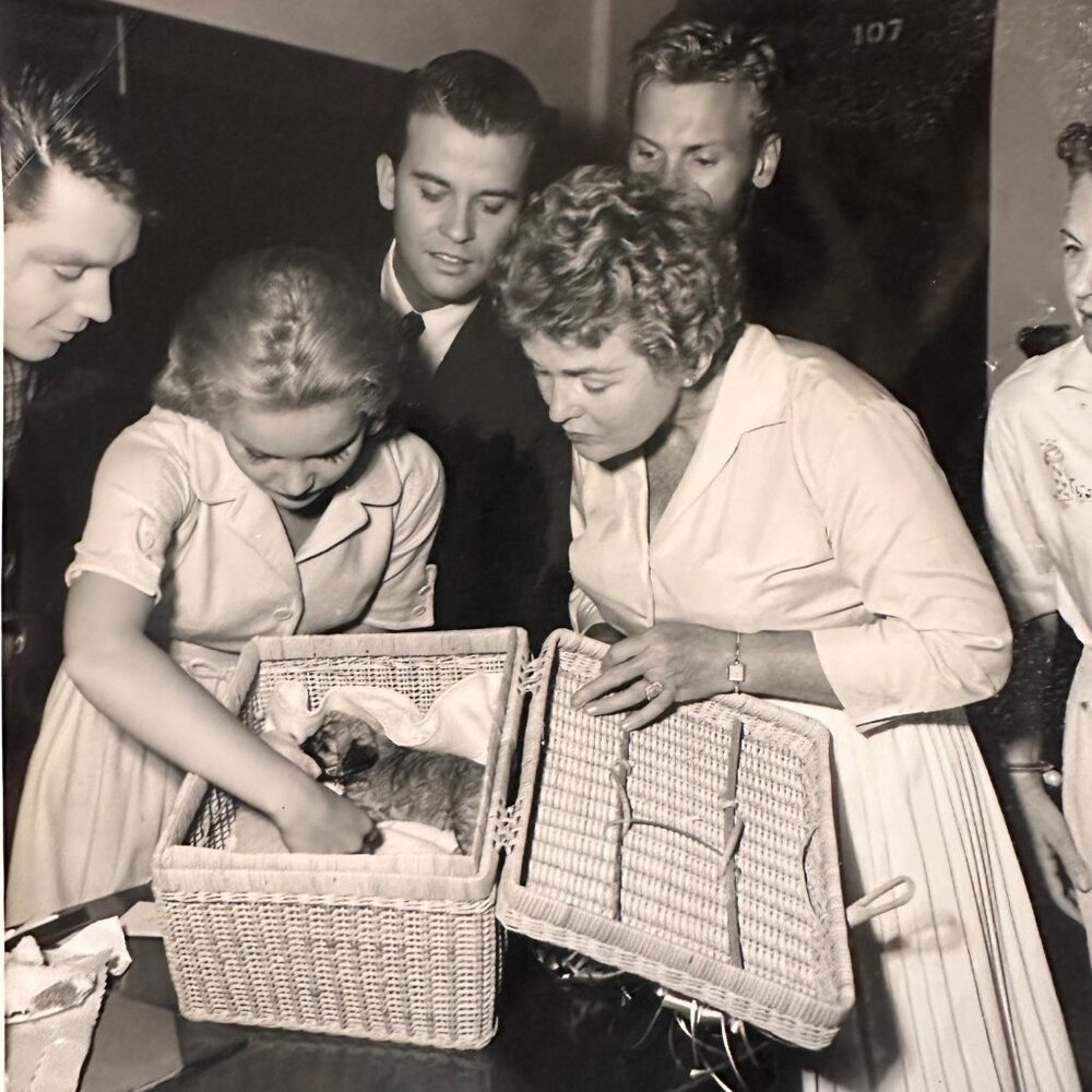 Vintage 1960 Hollywood Photo Of Tuesday Weld Dick Clark Tab Hunter & More With P - Picture 1 of 14